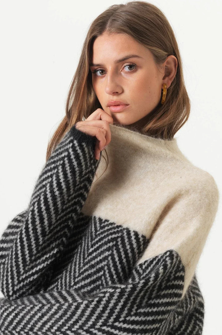 Ani - Trendiger Rollkragenpullover
